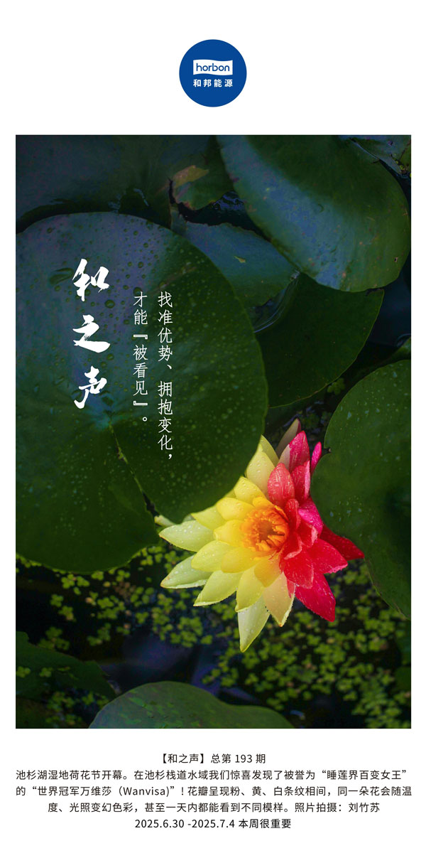【和之声】找准优势、拥抱变动，能力“被看见”。(总第193期）--2025.6中文导出季度推送用.jpg